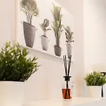 Viola - Gionic Appartement