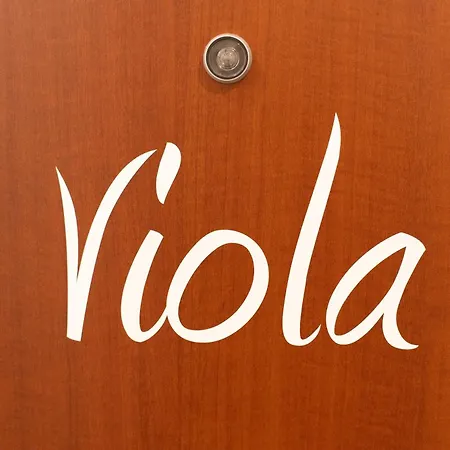 Viola - Gionic * 볼로냐