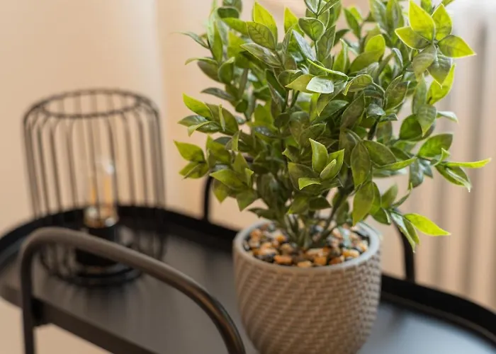 Apartment Viola - Gionic Bologna