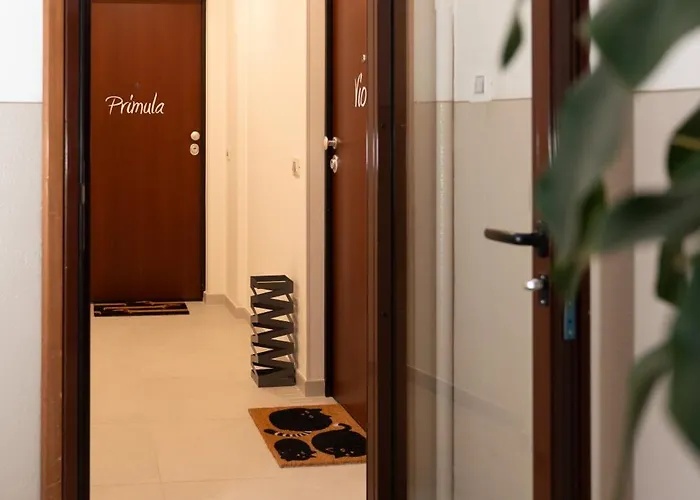 Viola - Gionic Bologna