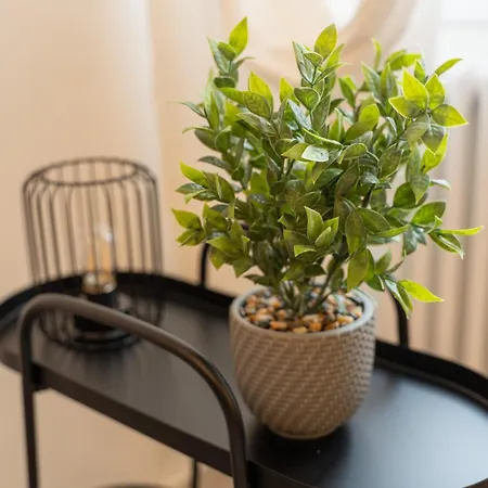 Apartman Viola - Gionic Bologna