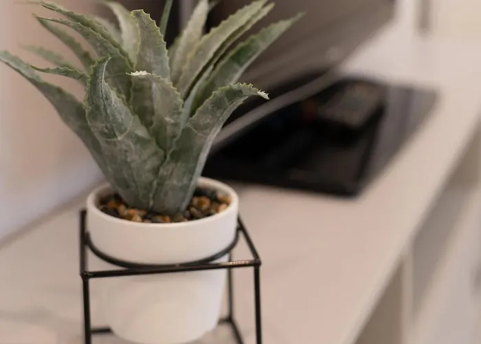 Viola - Gionic Apartment *