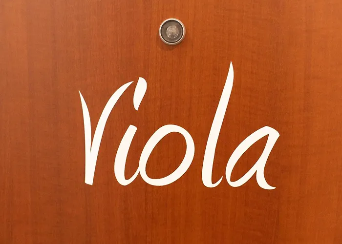 Viola - Gionic * Bologna
